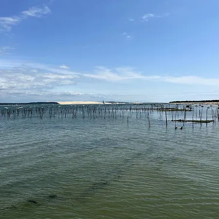 Entre Terre Et Mer Lege-Cap-Ferret Exterior photo