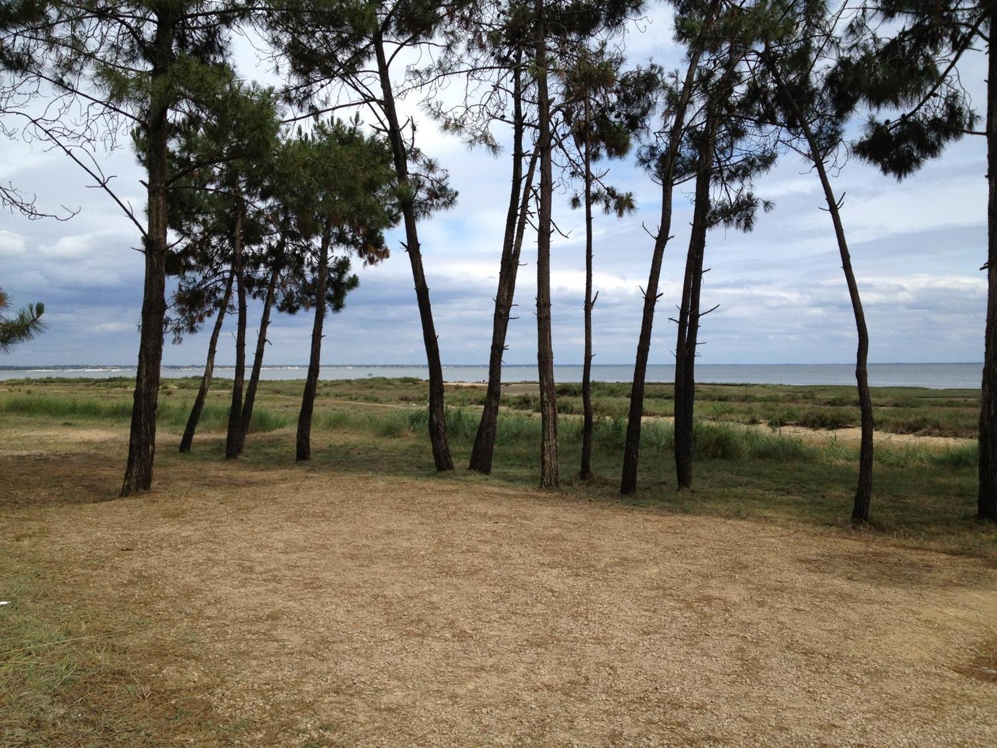 Entre Terre Et Apartment Lege-Cap-Ferret